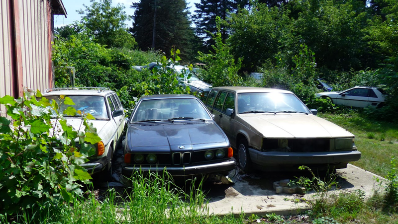Illustration for article titled One Year Later, Michigan Man Ordered to Sell 20 Cars a Month Is Out 160 Cars but Remains Upbeat